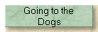 Going to the
 Dogs